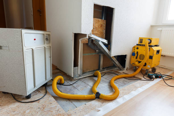 Best Asbestos and Lead Testing During Mold Inspection  in Wellton, AZ